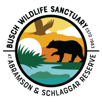 Busch_Wildlife_Sanctuary