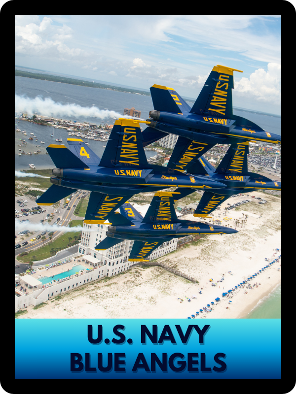 Website Performer - Blue Angels